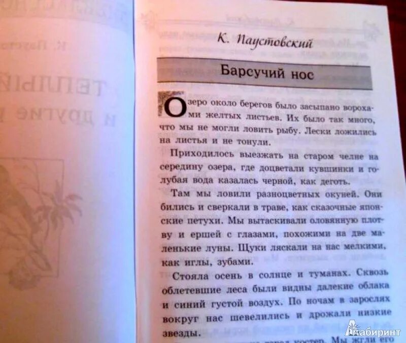 Были видны далекие облака. Стояла осень в солнце и туманах.сквозь. Паустовский стояла осень в солнце и туманах. Стояла осень в солнце и туманах сквозь облетевшие леса. Стоит поздняя осень в солнце и туманах.