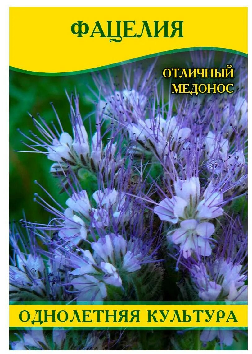 Фацелия норма. Фацелия семена. фацелия упаковка. фацелия описание. фацелия семена фото.