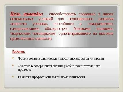 Цель команды в бизнесе