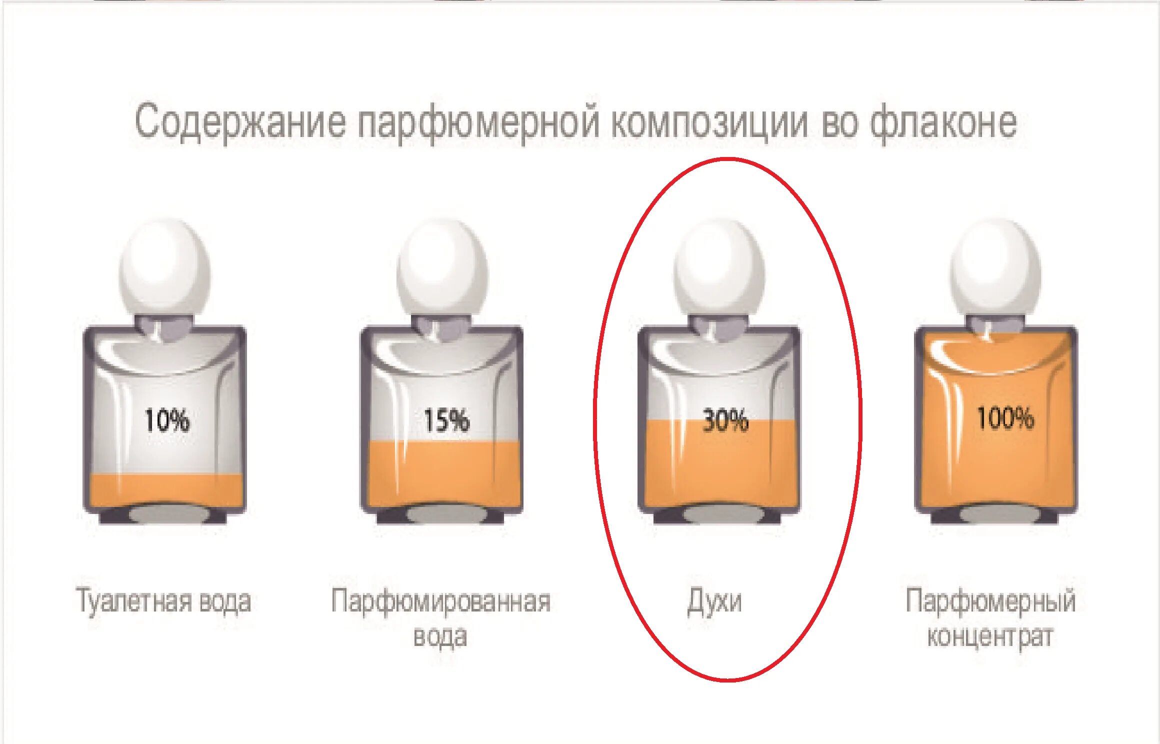 Парфюмерная и туалетная вода. Туалетная вода духи и парфюмерная вода. Парфюмированная вода или туалетная. Стойкость туалетной воды.