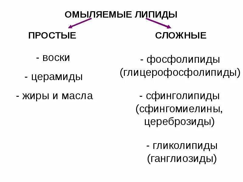 Химическая классификация липидов. Примеры восков липидов. Строение простых и сложных липидов. Примеры восков липидов. Примеры восков липидов.