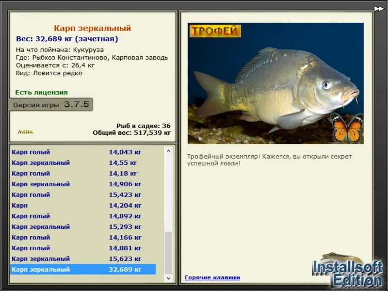 карп размеры. сколько стоит карп. карп размеры. карп 1. средний вес карпа.