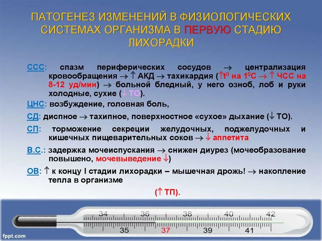 Температура второй фазы. Изменение функции органов и систем при лихорадке. Изменения со стороны систем организма при лихорадке. Нарушение функций систем организма при лихорадке. Влияние лихорадки на сердечно-сосудистую систему.