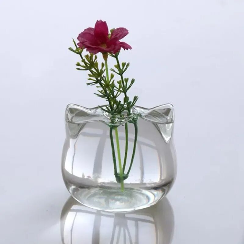 Стеклянная гидропонная ваза. Цветы в прозрачной вазе. Стеклянная вазочка. Необычные вазы.