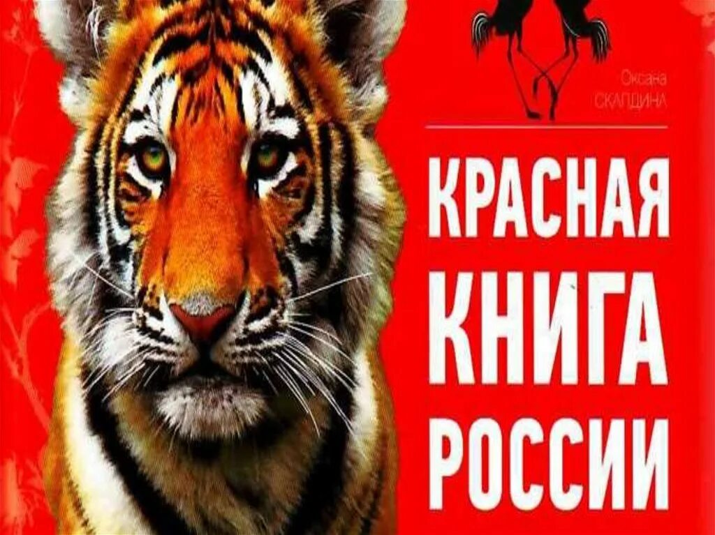 Обложка красной книги ро. Красная книга ой. Красная книга для детей. Животные красной книги росси. Красный.