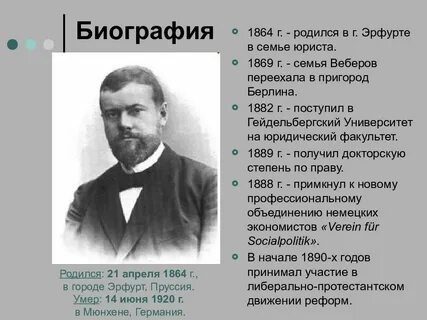 Краткая биография вебера
