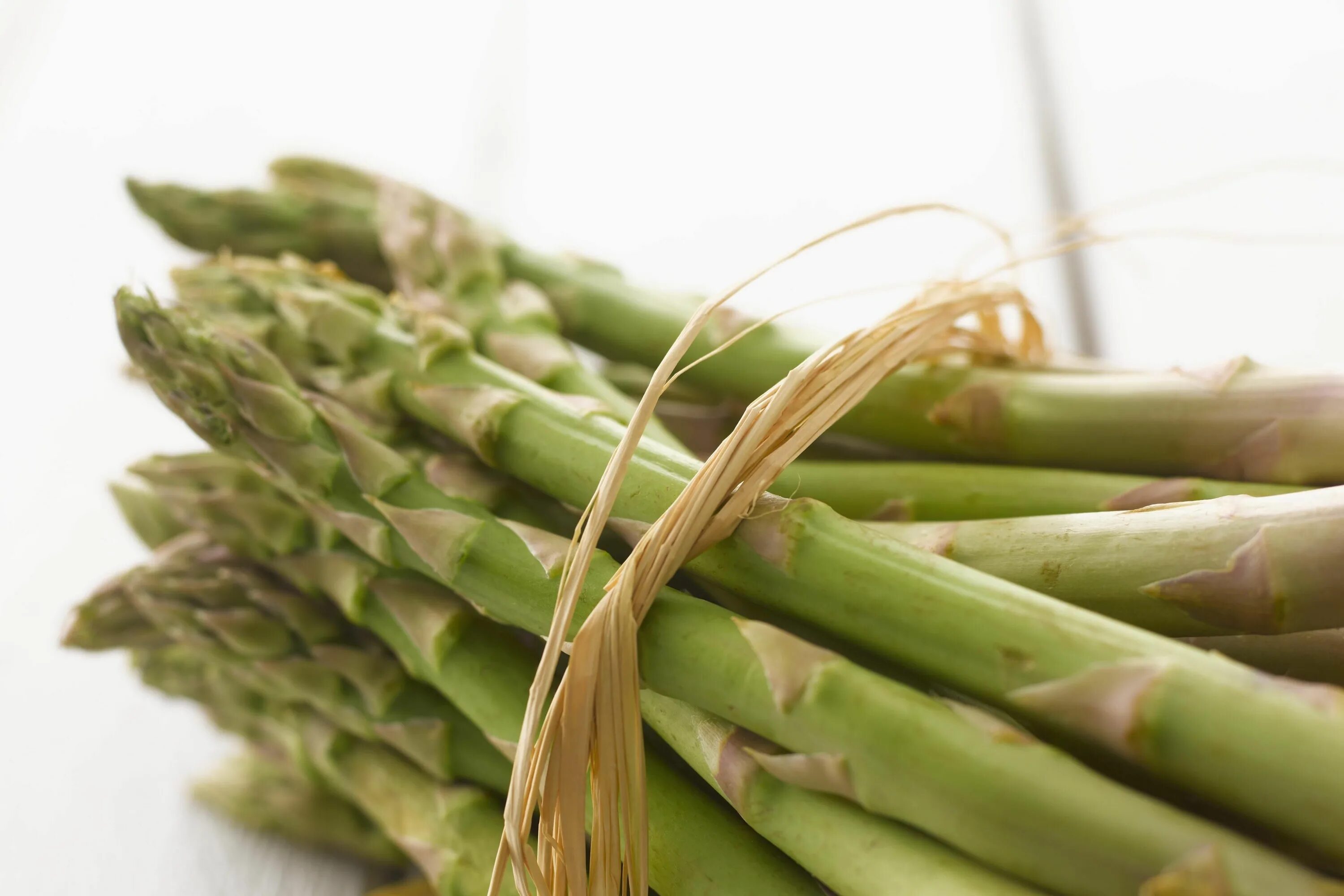 Спаржа Asparagus officinalis Avalim. Гаршинка спаржа. Спаржа деликатесная. Спаржа шобериевидная.