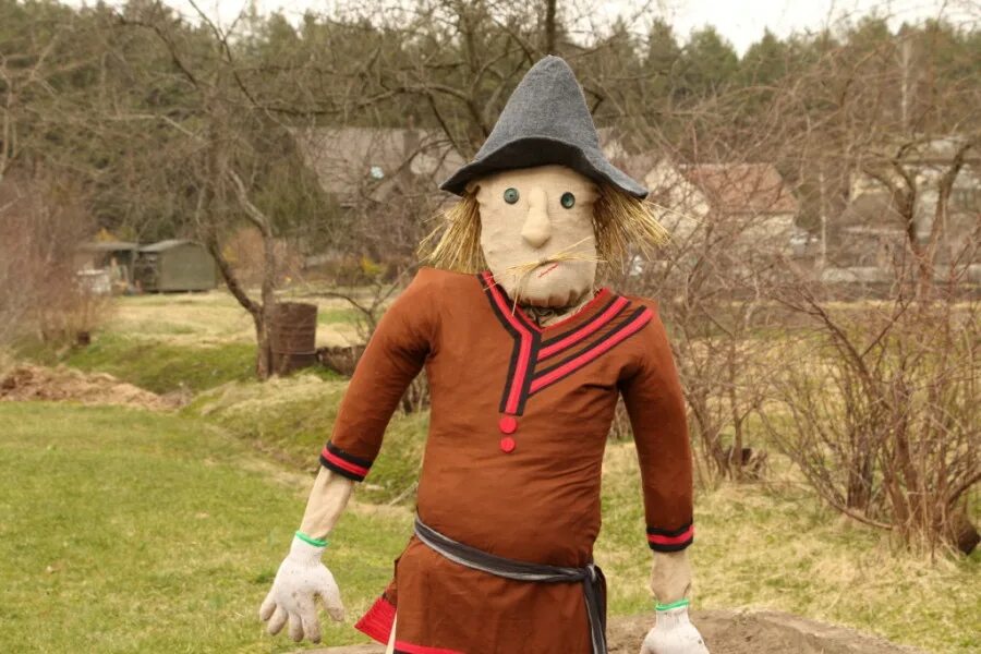 пранк пугало на кукурузном поле.