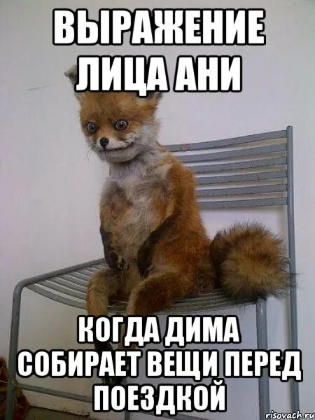 Ютуб достала