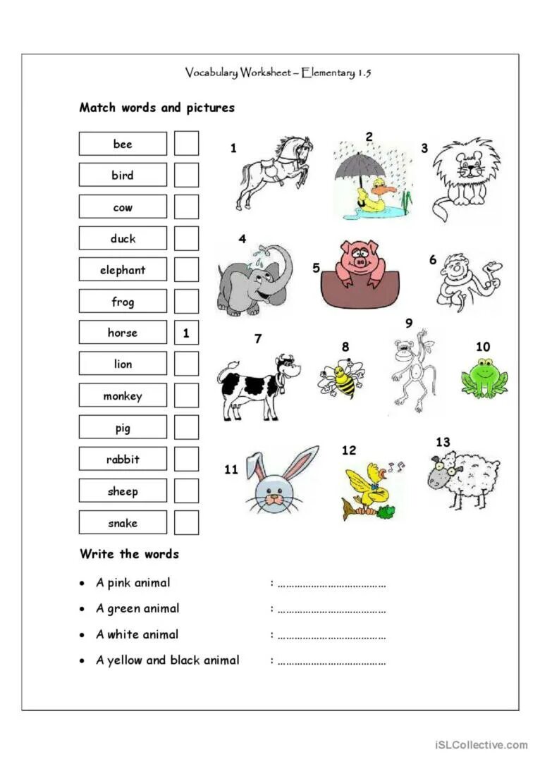 Worksheets for Kids Elementary. Задания English for Elementary. Задания на английском для Elementary. Worksheets английский. C test english