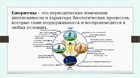 Биологические процессы термины