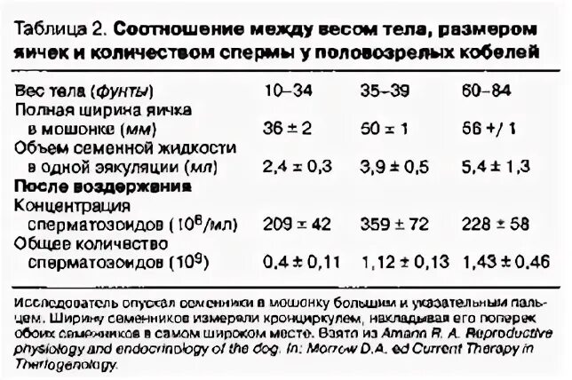 Размеры яичка в норме на УЗИ. Объем яичка по УЗИ. Размеры яичек у мужчин в норме УЗИ. Размер яичек при УЗИ норма. Нормальная яичка мужчин