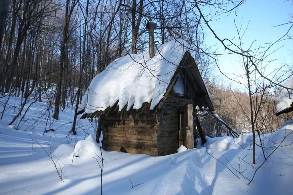 келья лесная монаха отшельника. афонский монастырь карули. таёжные скиты отшельников. скит отшельника. жилище монахов отшельников.