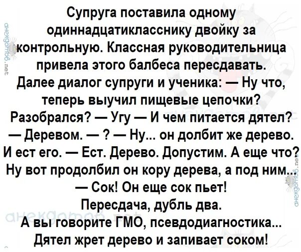 Два одиннадцатиклассника граждане рф решили пошутить они