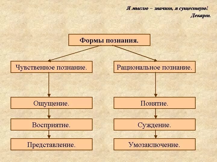 Указать виды познания. Формы познания. Виды и формы познания. Типы познания. Схема познание чувственное и рациональное.