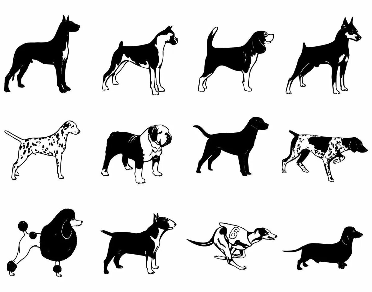 Породы собак нарисовать. Силуэты собак разных пород. Силуэт собаки. Стилизованные собаки. Силуэт бегущей собаки.