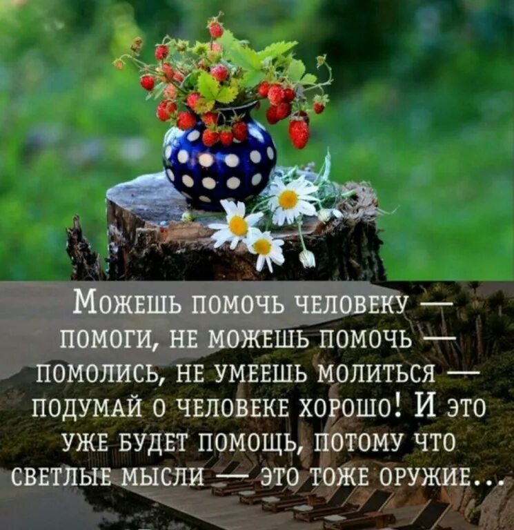 собака для детей. люди добрые. люди которые помогают. светлые мысли цитаты. добро людям.