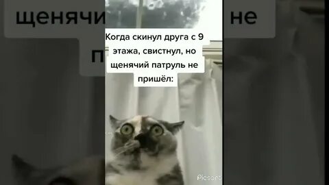 Скинуть току