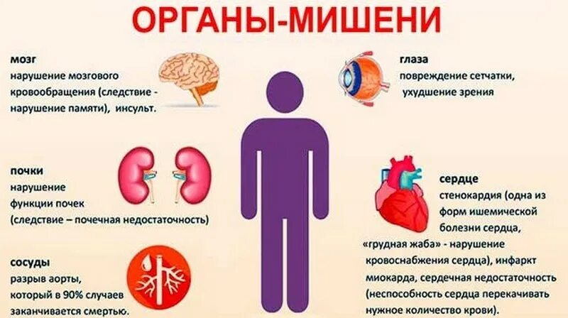 Органы-мишени при артериальной гипертензии. Гипертоническая болезнь органы мишени. Органы мишени при гипертонической болезни. Артериальная гипертензия поражение органов мишеней.