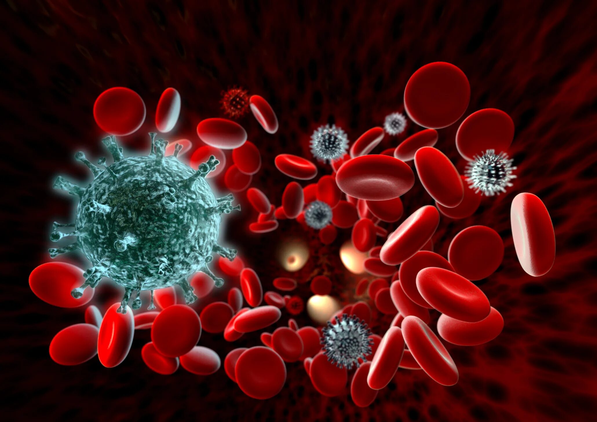 Сепсис СПИД вирусный гепатит. Иммунная система и коронавирус. Вирусы в организме человека.