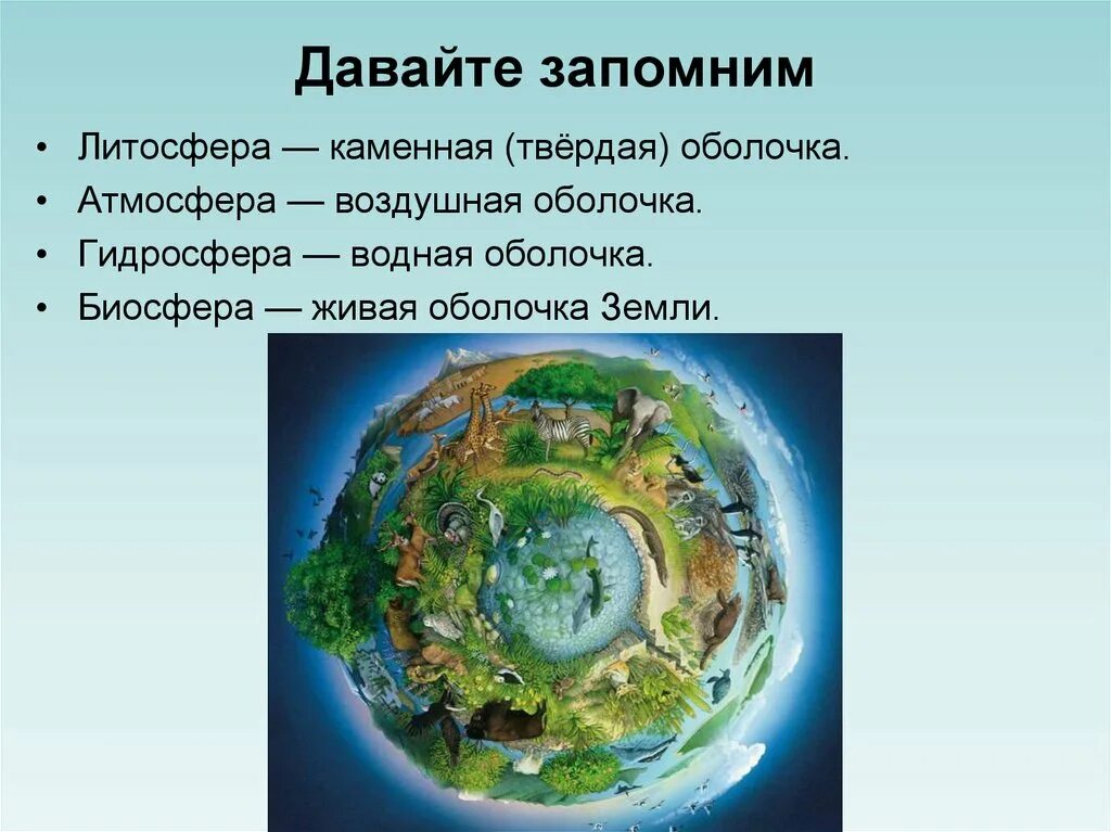 4 живая оболочка земли. Оболочки земли. Оболочки планеты земля. Биосфера Живая оболочка земли. Литосфера Биосфера.