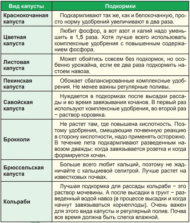 Как часто можно подкармливать рассаду. Удобрение для рассады капусты в открытом грунте. Удобрение капусты белокочанной в открытом грунте. Схема удобрения капусты. Схема подкормки рассады капусты.