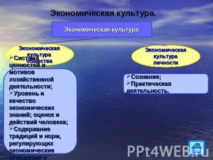 Политическая экономическая культура