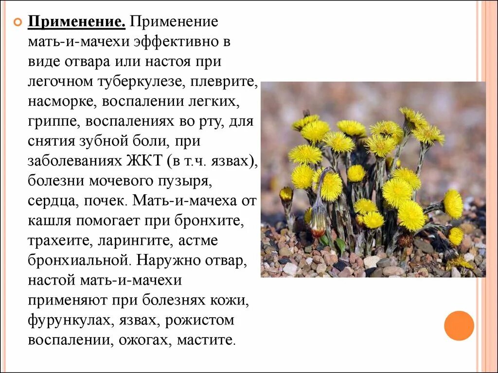 Мачеху несколько раз перевод