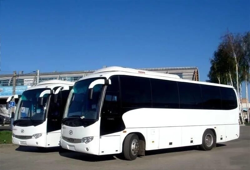 Марки автобусов для перевозки пассажиров. Краснодар автобусы центр. Заказ автобуса для перевозки людей. Мерседес бенц спринтер пассажирский. Трансфер автобус.