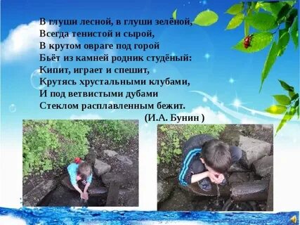 Текст в лесной глуши