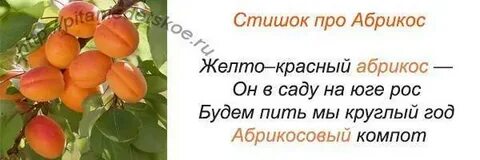Текст абрикос