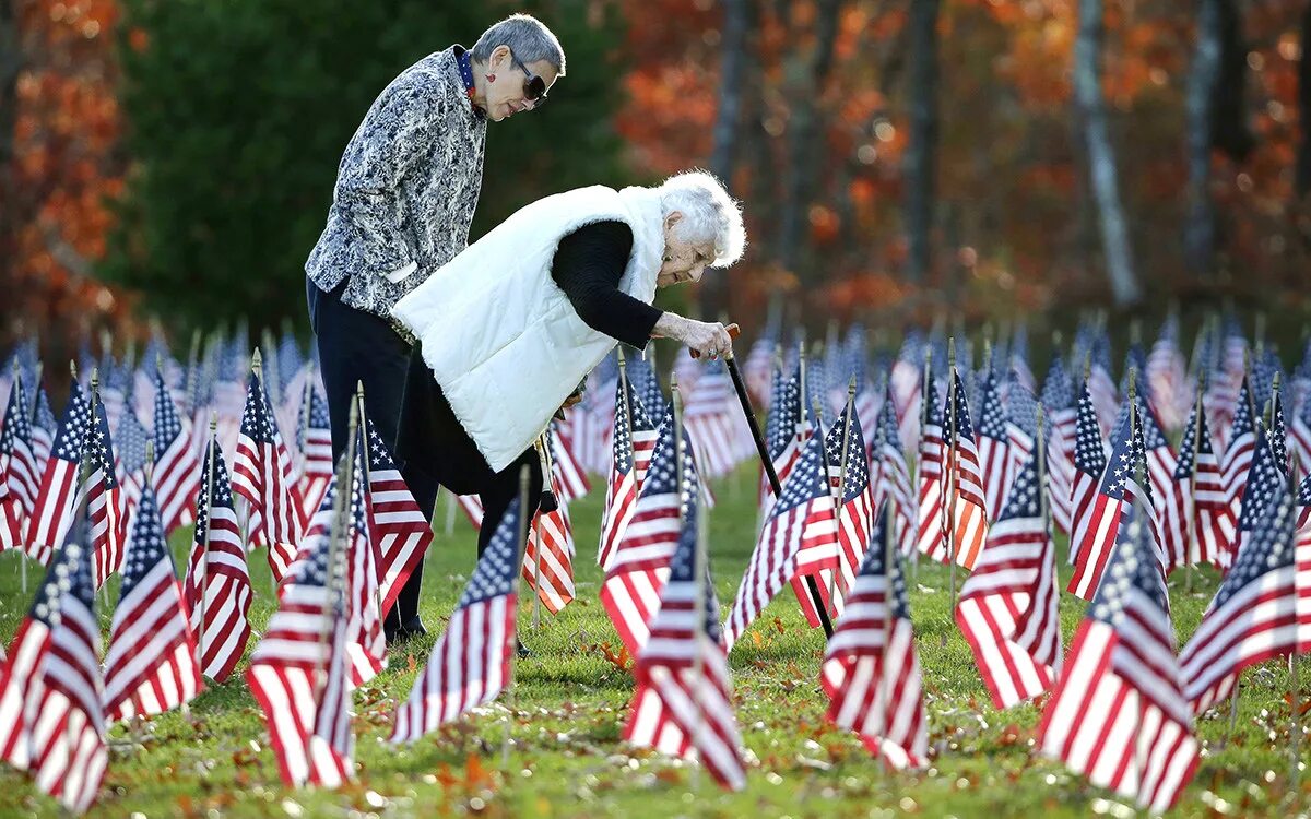 Veterans day. День ветеранов в США. Ветеран США арт. Америка дома для ветеранов. Национальный день ветеранов в Финляндии.