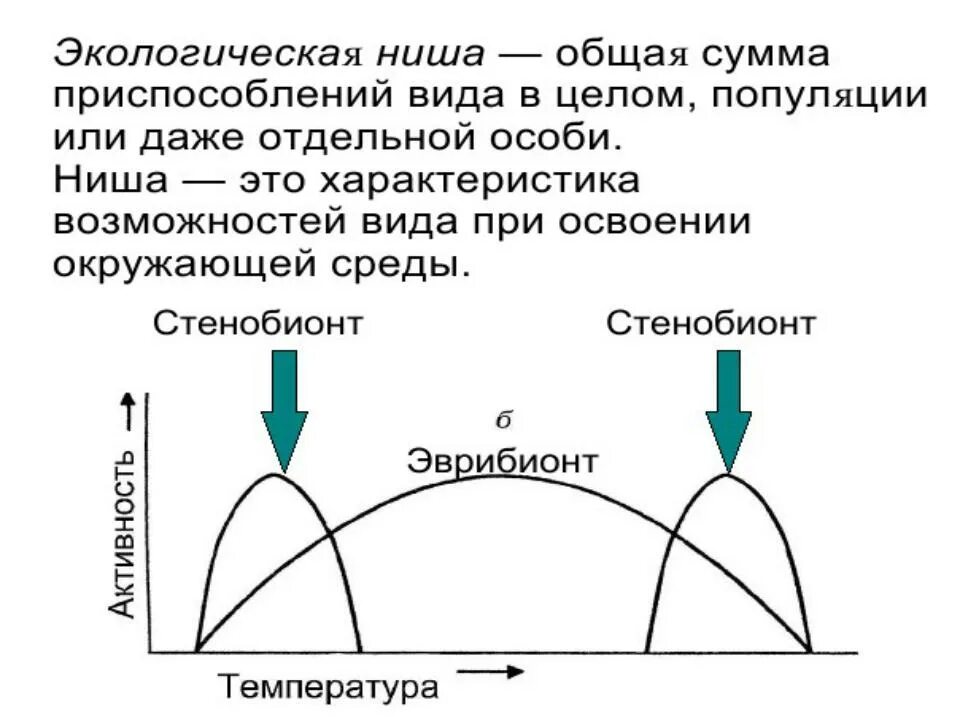 Экологическая ниша. Понятие экологическая ниша. Экологическая ниша это в биологии. Параметры экологической ниши. Потенциальная ниша