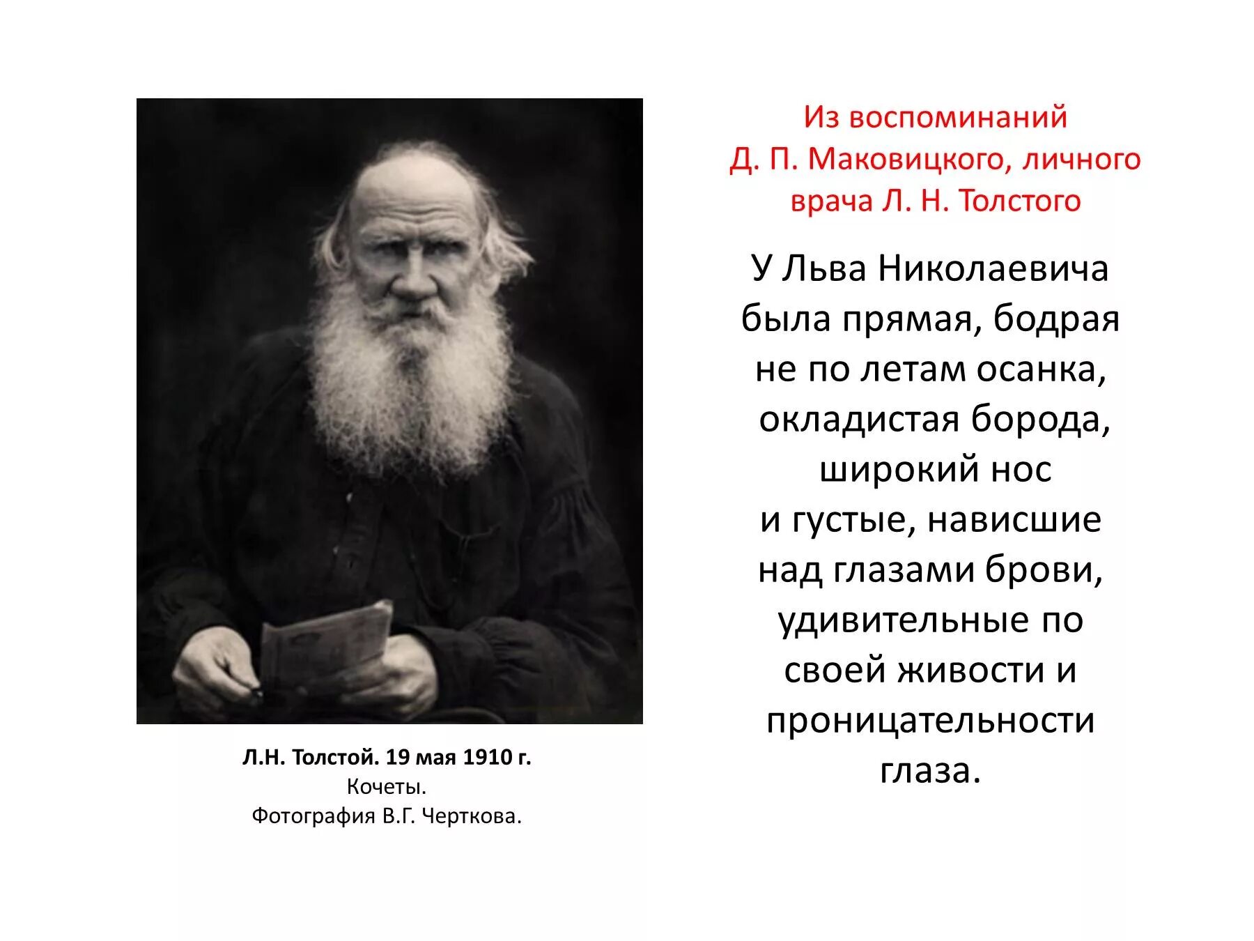 Чем отличился толстой. Описание л.н Толстого. Внешность Льва Николаевича Толстого. Описание внешности Льва Толстого. Лев толстой 1910.