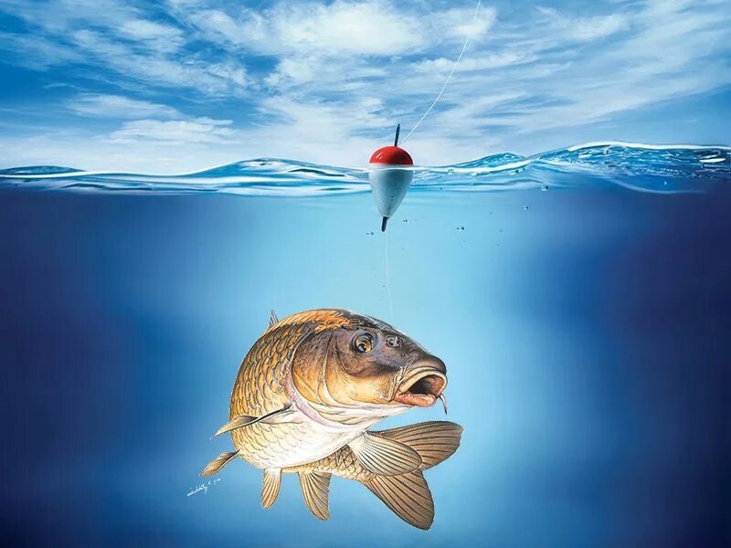 К чему снится поймать рыбу на удочку. Рыбалка большая рыба. Девушка с удочкой. Поймал большую рыбу во сне на удочку. Девушка с огромной рыбой.