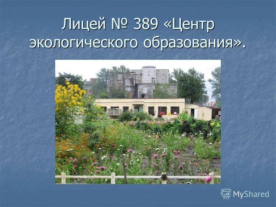 лицей 389 кировского района. биотехнологический лицей 21 кольцово. темы лицей. лицей номер 23 калининград. биотехнологический лицей №21.
