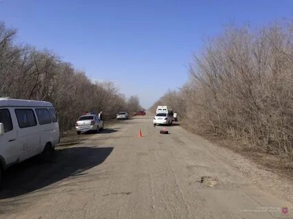Гисметео логовский волгоградская