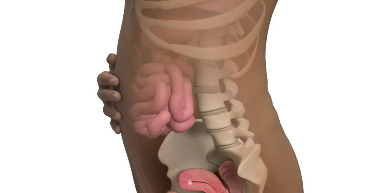 ребенок в животе часто икает. 38 неделя беременности икает. 38 недель беременности фото плода на узи. беременность 36-37 недель предвестники. 34 недель беременности икает ребенок.