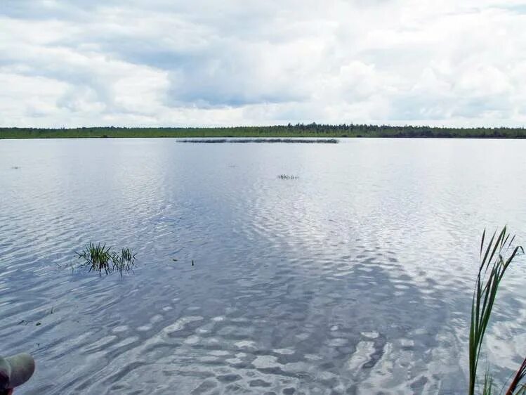 Пять озёр Омская область. Озеро шайтан Муромцевский район. Озеро шайтан Омская область Муромцевский район. Озеро шайтан пять озер.