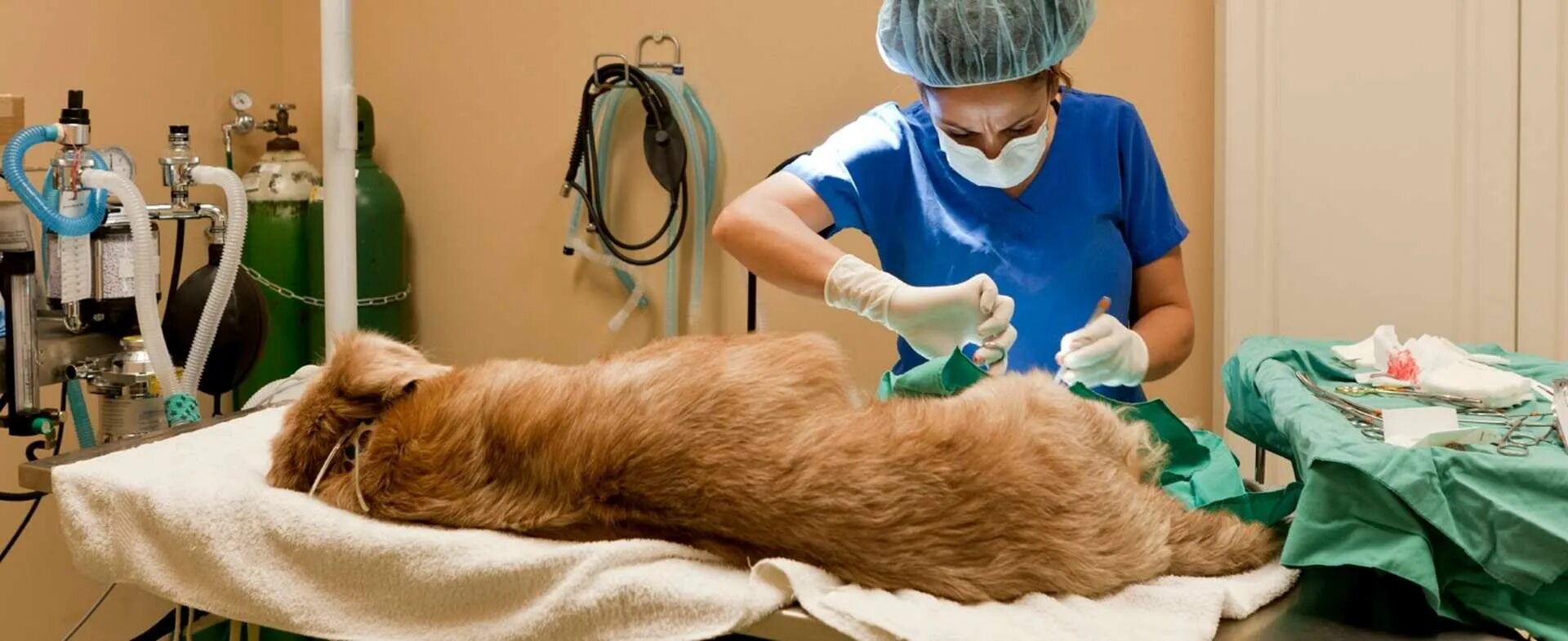 Операции ветеринаров