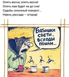 Магазин золотая репка