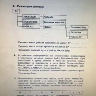 Рассмотри рассмотри каждую таблицу и