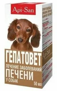 Профилактика печени собаки