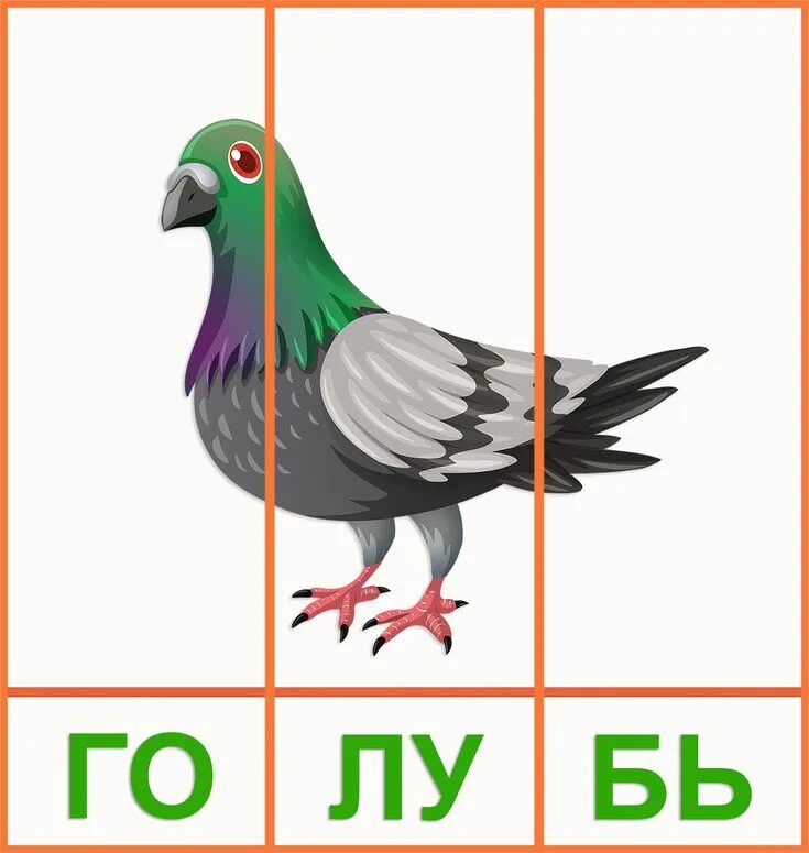 Птичка по слогам. Слоги птицы. птичка на слоги. птицы 3 слога. название птицы с тремя слогами.