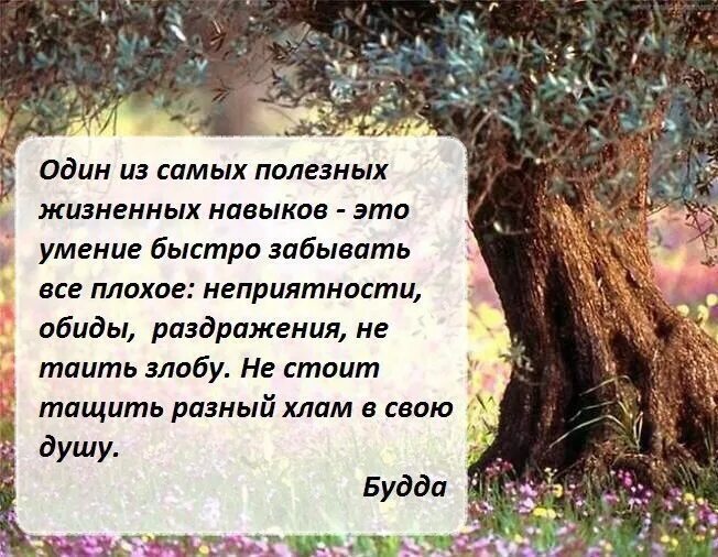 Быстро забываю плохое. Один из самых полезных жизненных навыков. Один из самых полезных жизненных навыков это умение быстро. Один из самых полезных навыков это умение быстро забывать. Один из самых полезных жизненных навыков это умение быстро забывать.