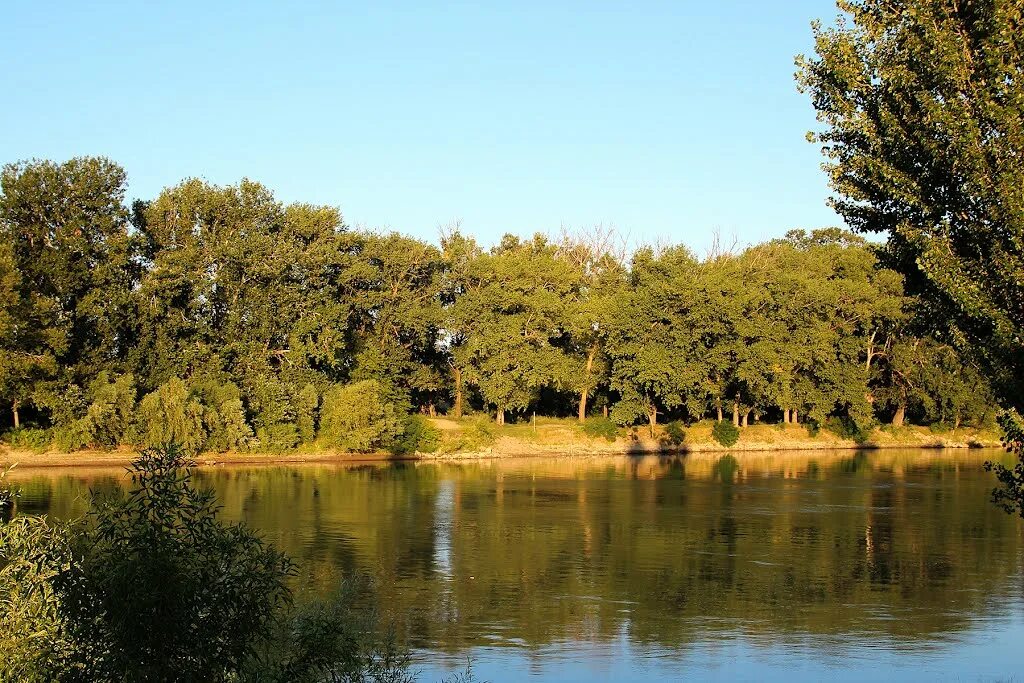 рыбалка хутор тиховский. славянск на кубани река. славянск на кубани река. река протока славянск на кубани. река кубань и протока.