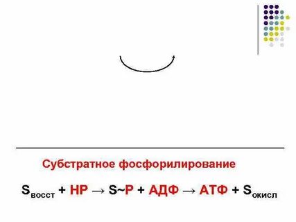 Субстратное фосфорилирование атф