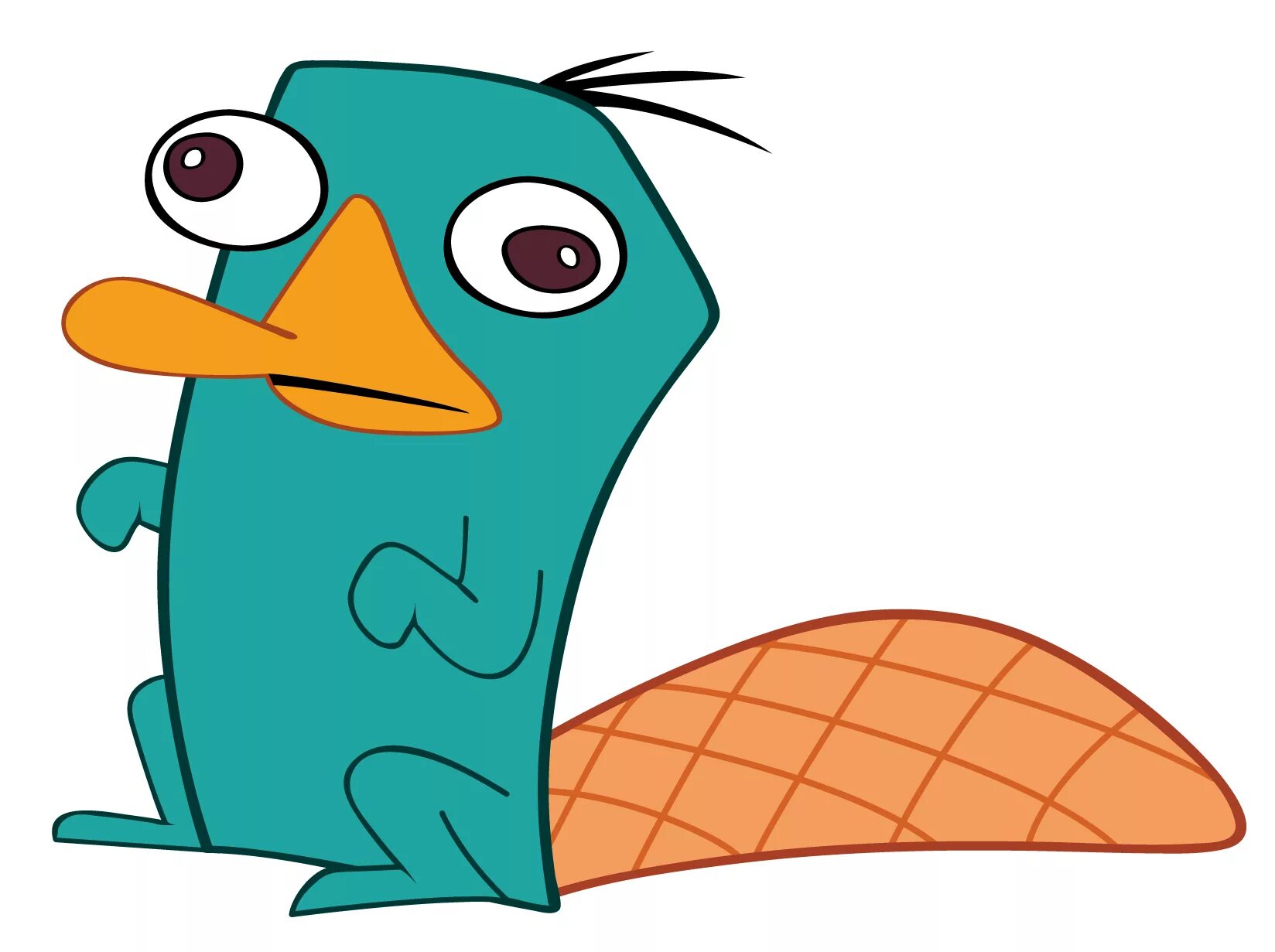 Perry the platypus