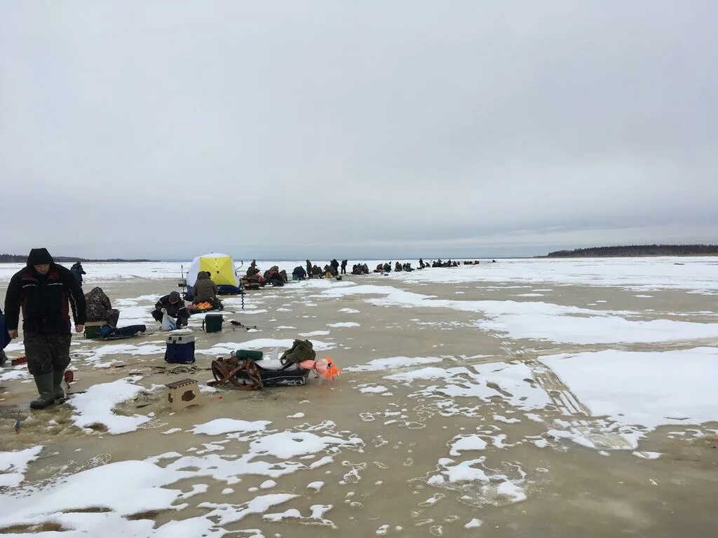 луда сплав. мураканское озеро архангельская область. озеро мураканское озеро. погода в луде. деревня луда архангельской.