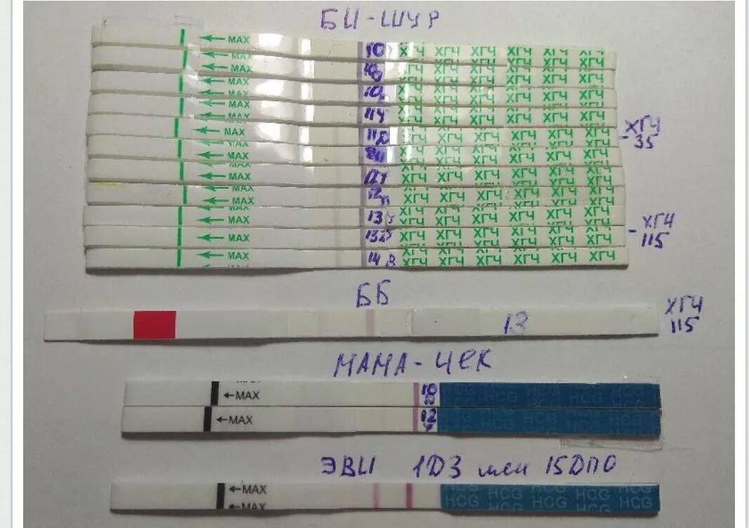 Забеременела через неделю после овуляции. Тест на ХГЧ. Тест на беременность и ХГЧ В крови. ХГЧ тест на беременность. ХГЧ И тест на беременность по дням.